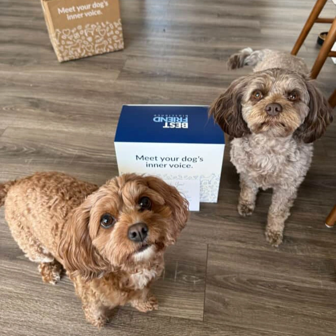 Franki & Charli